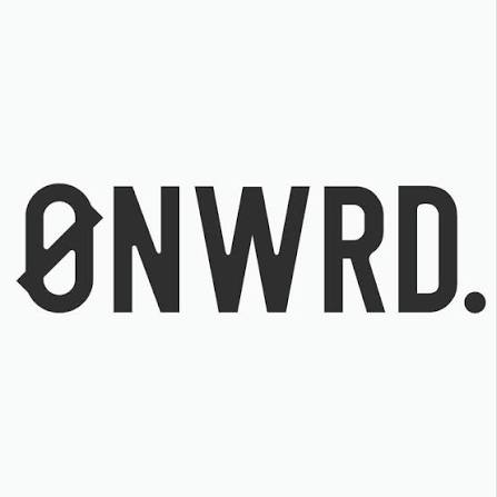 Collecteur ONWRD Daily Driver - BYD Shark 2024+
