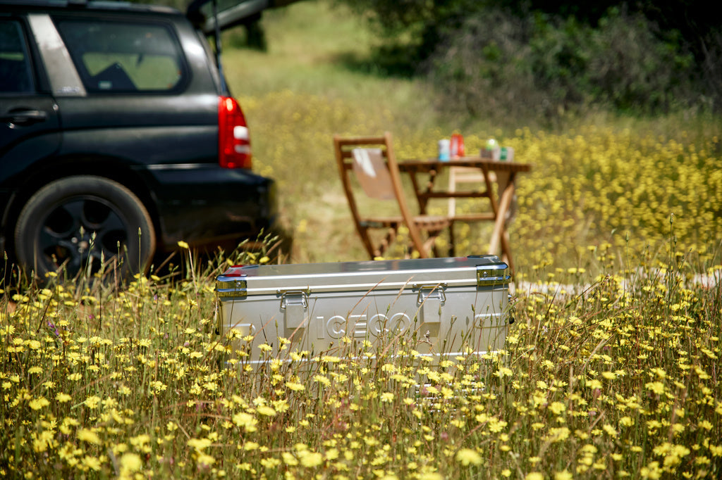 Refrigerateur/Congelateur ICECO 35L  - Argent sur Xperts4x4 Accessoires 4x4 Off-Road