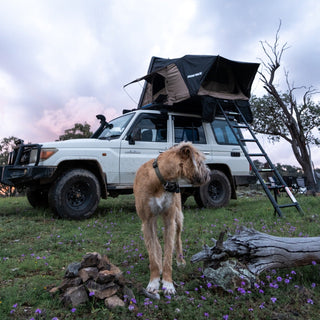 Tente de toit Rigide 2100 x 1300mm  RHINORACK sur Xperts4x4 Accessoires 4x4 Off-Road